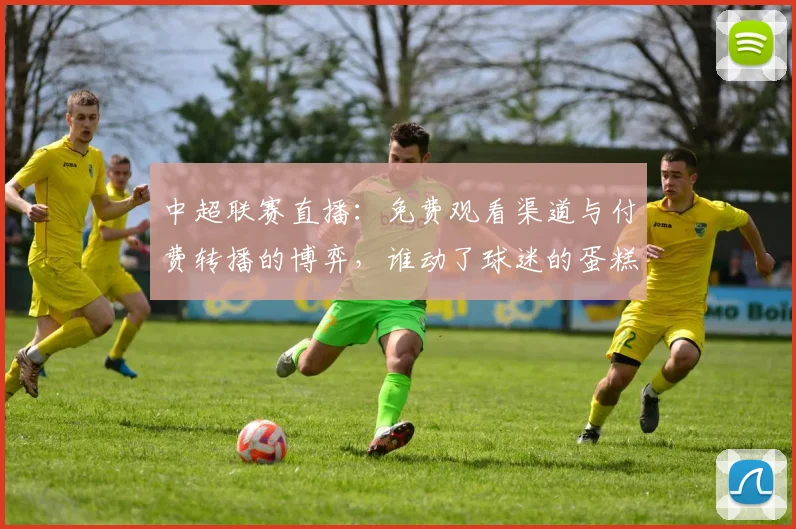 中超联赛直播:免费观看渠道与付费转播的博弈,谁动了球迷的蛋糕?