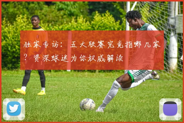 独家专访:五大联赛究竟指哪几家?资深球迷为你权威解读